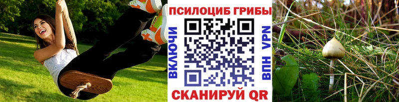 как найти   Кологрив  Галлюциногенные грибы прущие грибы 